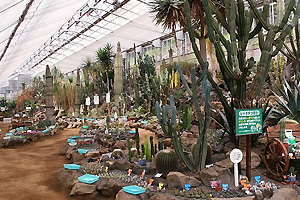 Izu Cactus Park